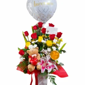 Box Peluche