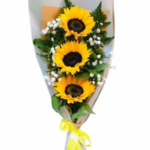 Girasoles