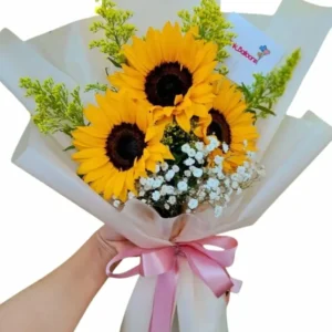 Girasoles