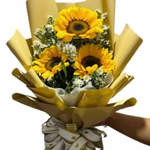 Girasoles