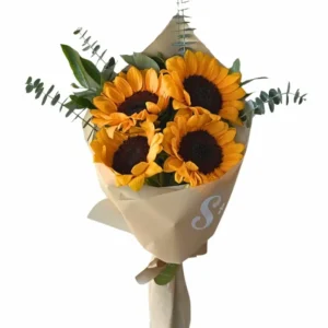 Girasoles
