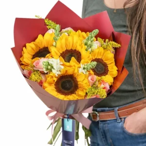 girasoles