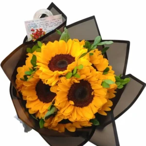 Girasoles