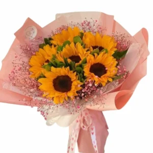 girasoles