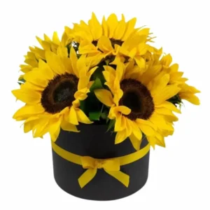 Girasoles en box