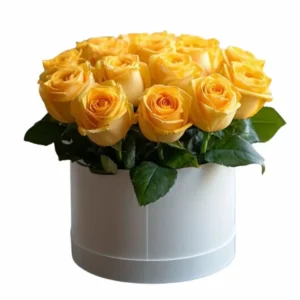 Box con rosas