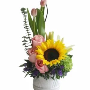 Box Girasol y Tulipanes