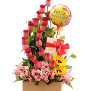 Box Cumpleaños