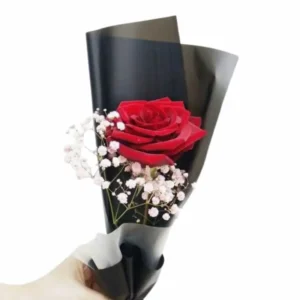 rosa