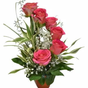 Rosas Coral