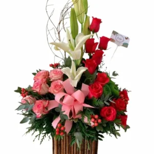 Box Primavera
